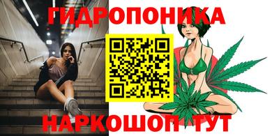 кокс Владимир